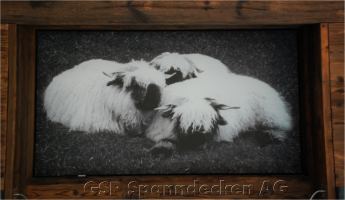 Hotel Europe, 3920 Zermatt 