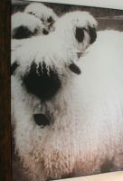 Hotel Europe, 3920 Zermatt 