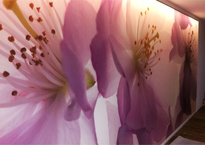 Privatwohnung bedruckte,hinterleuchtete Lichtwand