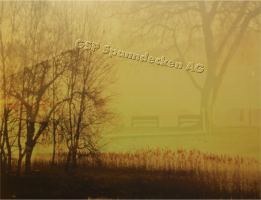 bedruckte Wandbespannung Ausschnitt02