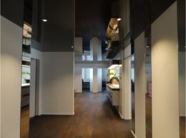 fit & wellness concept gmbh, GSP Spanndecken schwarz hochglanz