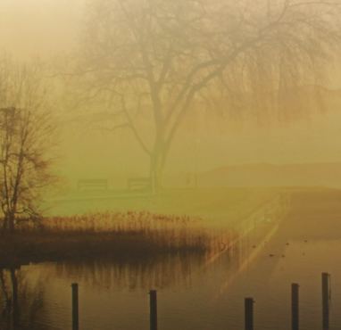 Bildauschnitt, transluzente bedruckte, hinterleuchtete Lichtwand
